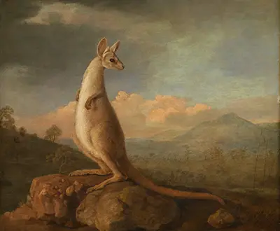 The Kongouro from New Holland George Stubbs